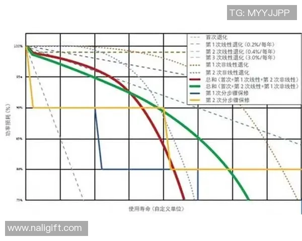 深圳羽毛球队的节奏与战术分析探讨及其在比赛中的应用